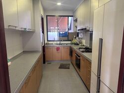 Jalan Limau Nipis (D16), Terrace #520260001